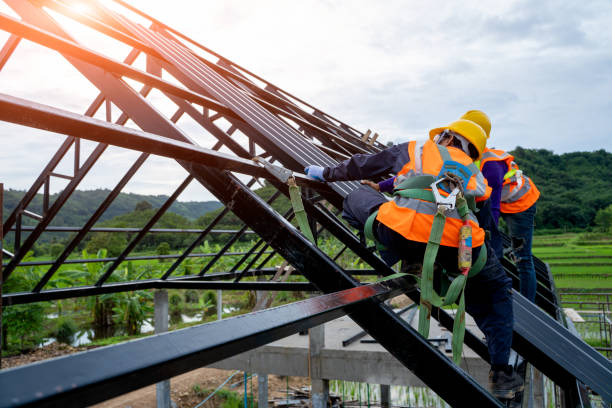 Best Local Roofing Companies  in Marshall, WI