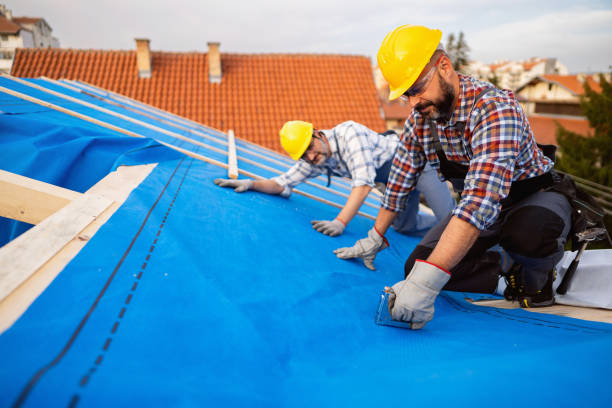 Best Roof Leak Repair  in Marshall, WI