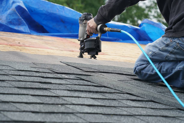 Best Roof Maintenance Services  in Marshall, WI