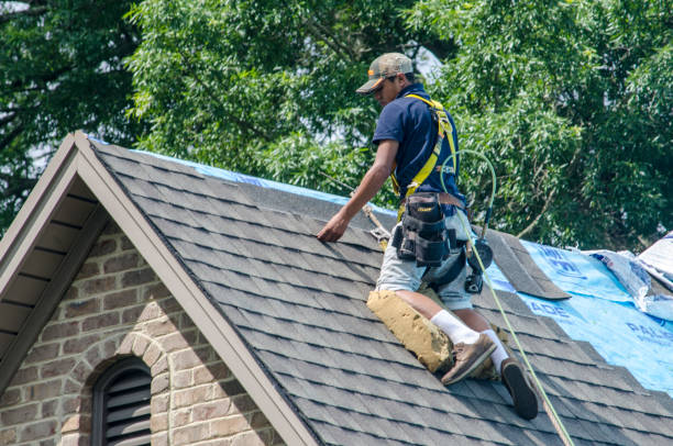Best Tile Roofing Contractor  in Marshall, WI